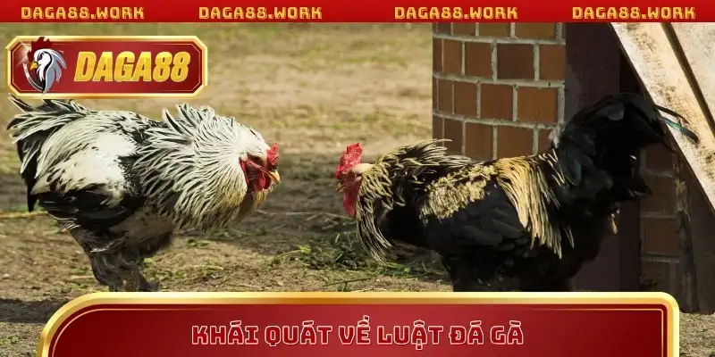 Luật Đá Gà DAGA88 Chi Tiết Giúp Bạn Bắt Kèo Chuẩn Xác - ka68