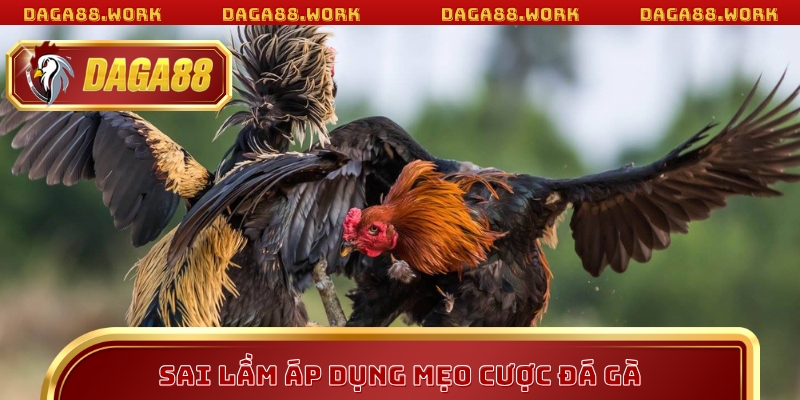 Mẹo Cược Đá Gà Tại DAGA88 Giúp Tăng Tỷ Lệ Thắng Vượt Trội - ka68
