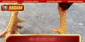 TIN TỨC - daga88work - ka68